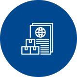 CUSTOMS DECLARATION