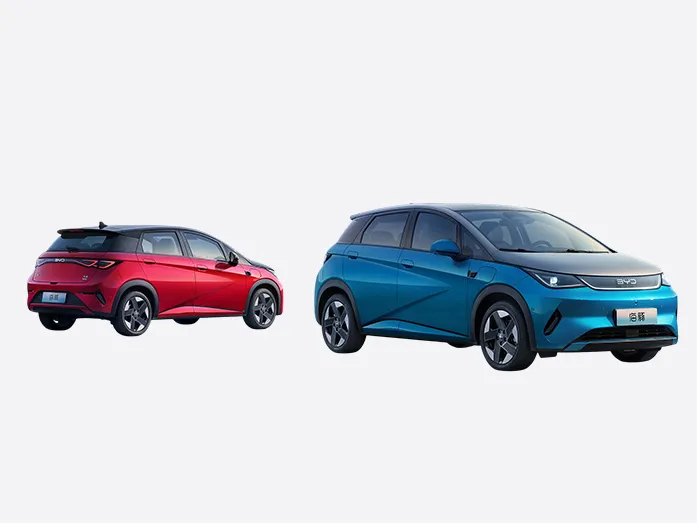 2025 BYD Dolphin Smart Driving Edition  420KM Freedom Edition
