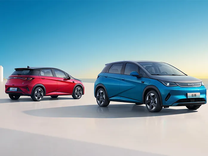 2025 BYD Dolphin Smart Driving Edition  420KM Freedom Edition