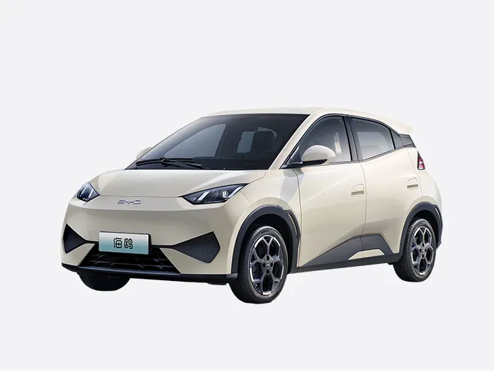 2025 BYD Seagull Smart Driving Edition 305KM Vitality Edition