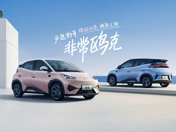 2025 BYD Seagull Smart Driving Edition 305KM Vitality Edition