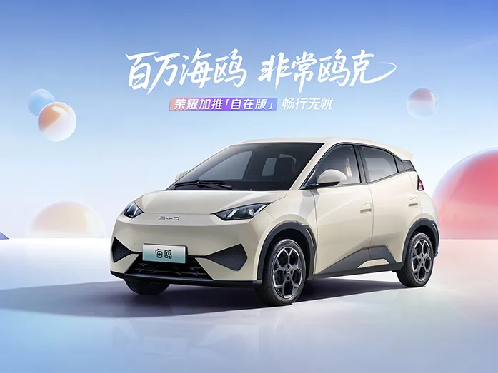 2025 BYD Seagull Smart Driving Edition 305KM Vitality Edition