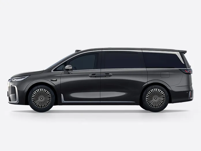 2025 Voyah Dreamer, PHEV 4WD Excellence Kunpeng Edition