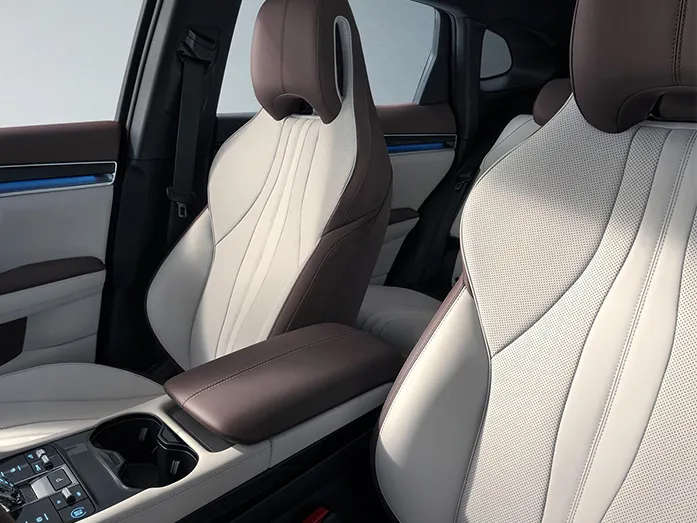 2025 BYD Song PLUS  Intelligent Driving Edition DM-i 75KM Luxury Model