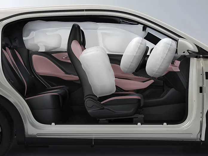 2025 BYD Seagull Smart Driving Edition 305KM Vitality Edition
