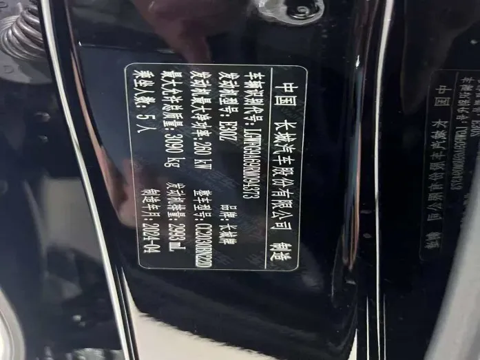 Tank 500 2023 Sport Edition, Dengfeng 5-seater