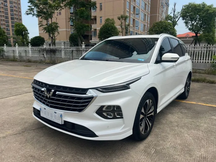 2022 Wuling Capgemini Flagship Edition