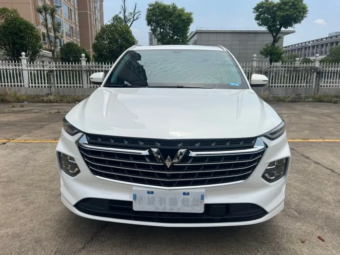 2022 Wuling Capgemini Flagship Edition